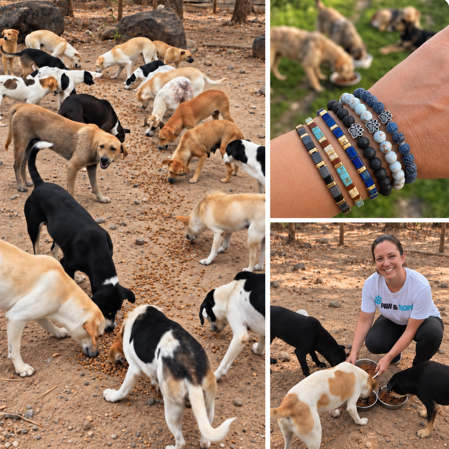 1. Each Item Helps Us Provide 10 Meals to Stray and Shelter Dogs