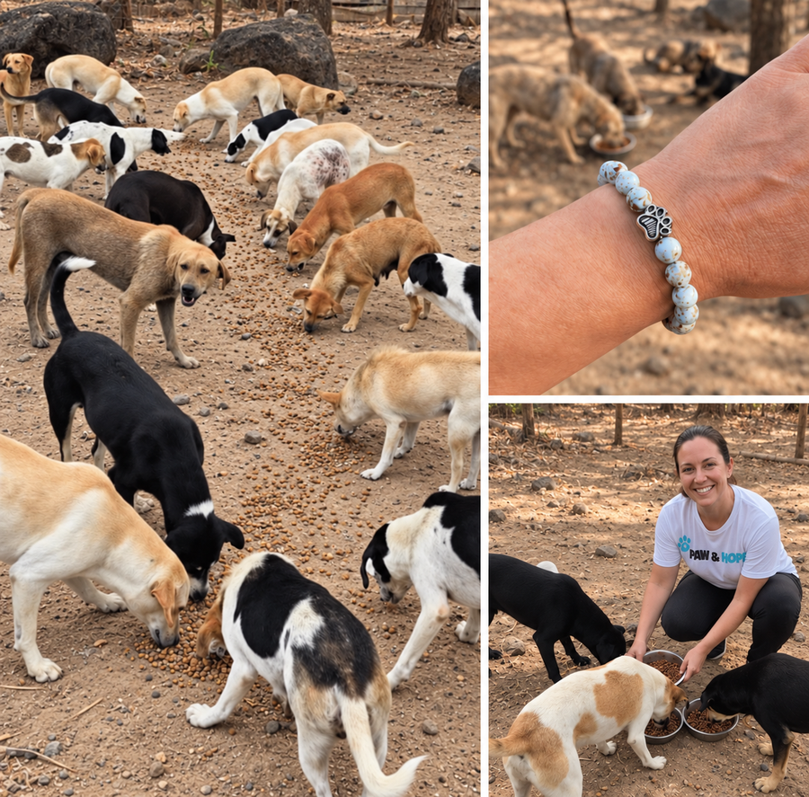 1. Each Item Helps Us Provide 10 Meals to Stray and Shelter Dogs