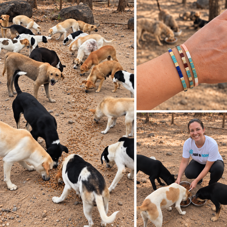 1. Each Item Helps Us Provide 10 Meals to Stray and Shelter Dogs